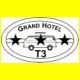 Grandhotel T3-Pilzdach  von Mic.html